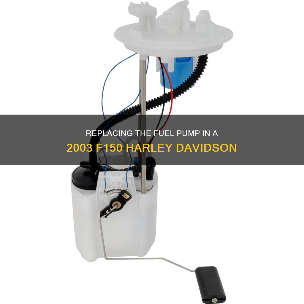 how to replace 2003 f150 harley davidson fuel pump