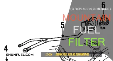 Replacing 2004 Mercury Mountaineer Fuel Filter: Step-by-Step Guide