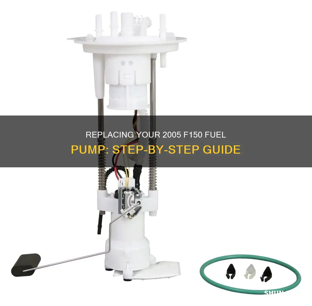 how to replace 2005 f150 fuel pump