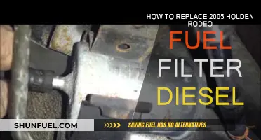 Replacing Diesel Fuel Filter in Holden Rodeo (2005)