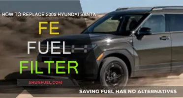 Replacing the Fuel Filter in Your 2009 Hyundai Santa Fe