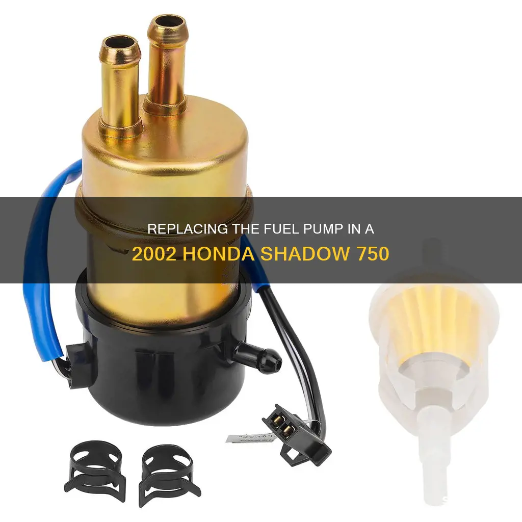 how to replace a 2002 honda 750 shadow fuel pump