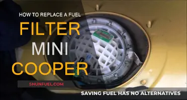 Replacing the Fuel Filter in Your Mini Cooper