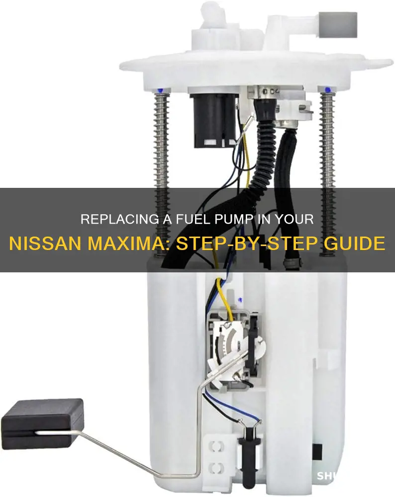 how to replace a fuel pump in a nissan maxima