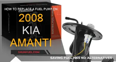 Replacing the Fuel Pump in Your 2008 Kia Amanti