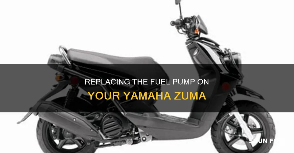 how to replace a fuel pump on yamaha zuma