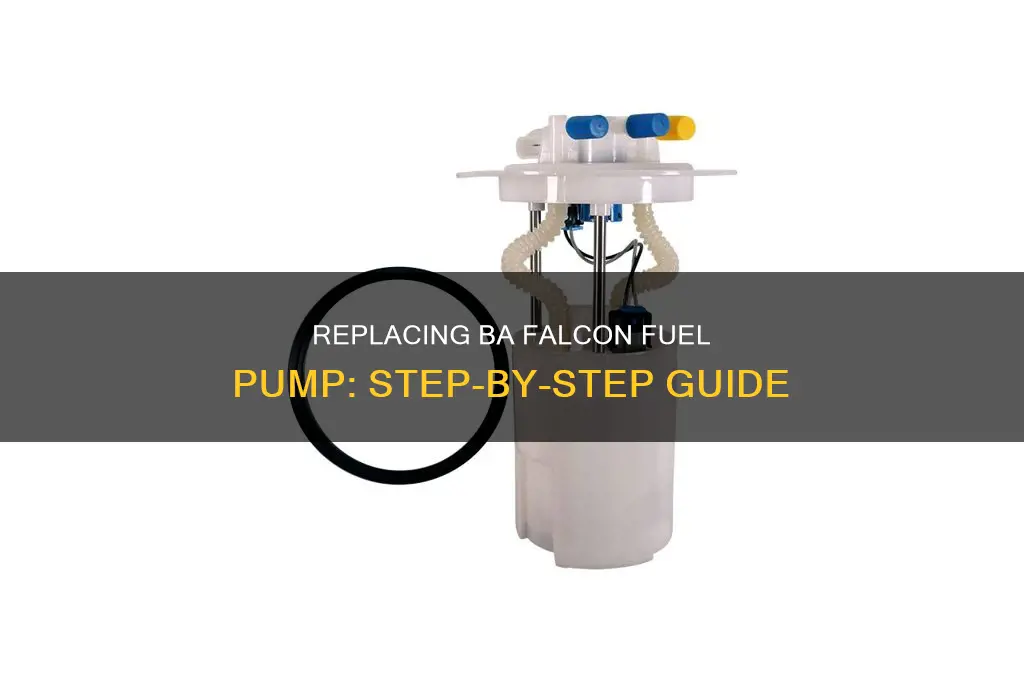 how to replace ba falcon fuel pump