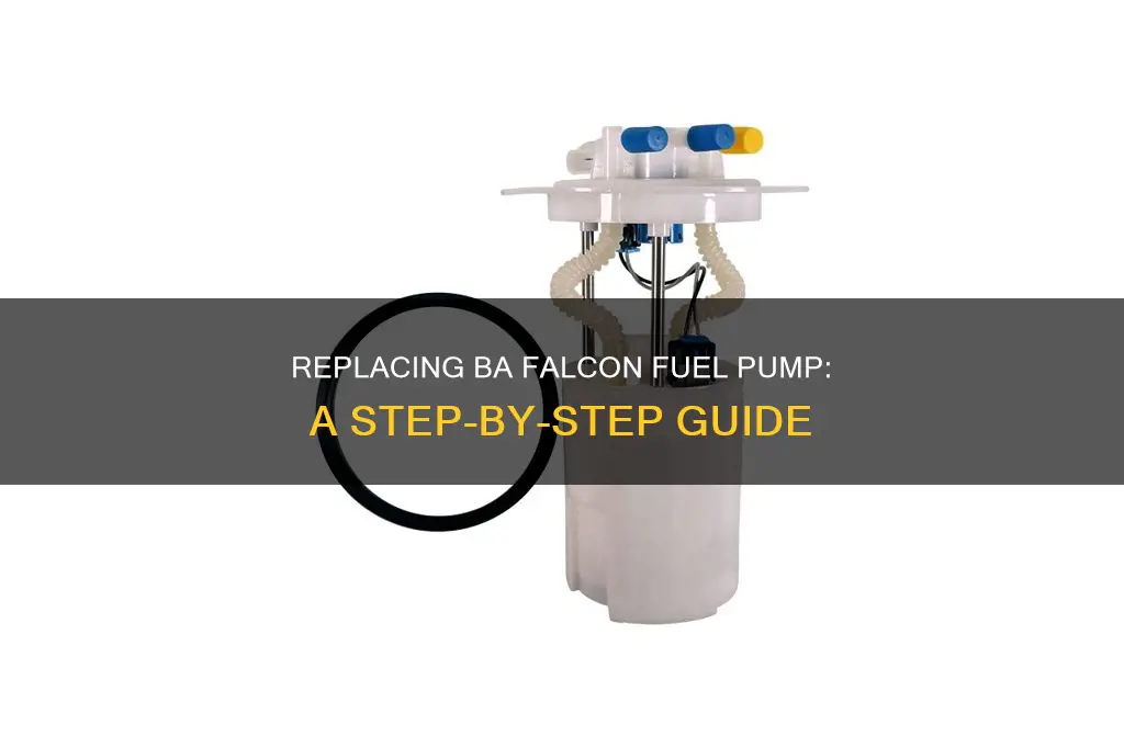 how to replace ba falcon fuel pump