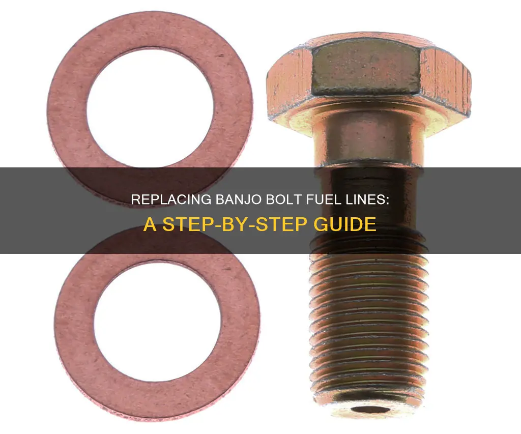 how to replace banjo bolt fuel lines