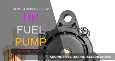 Replacing the BS 12 HP Fuel Pump: Step-by-Step Guide