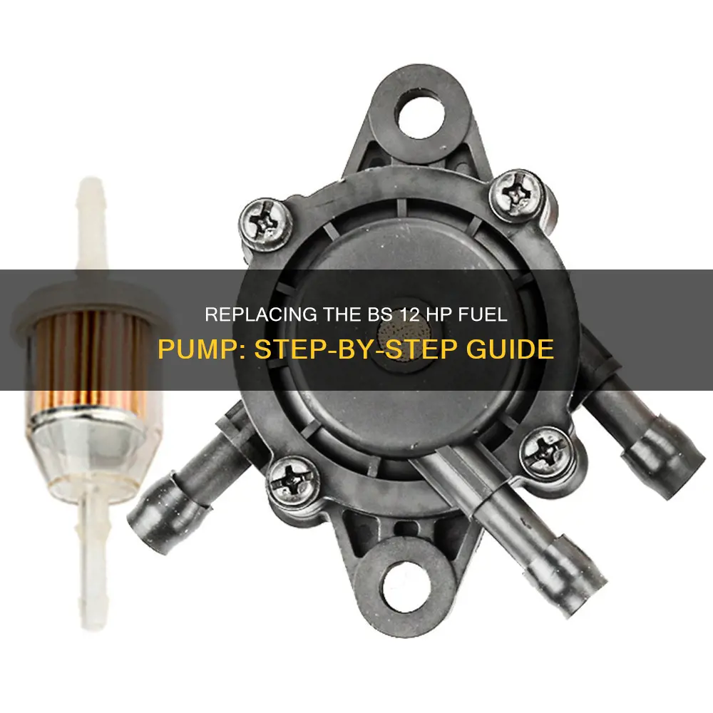 how to replace bs 12 hp fuel pump