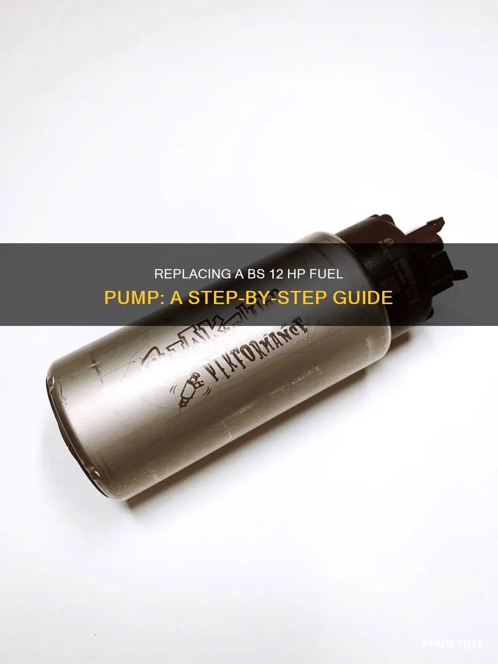 how to replace bs 12 hp fuel pump