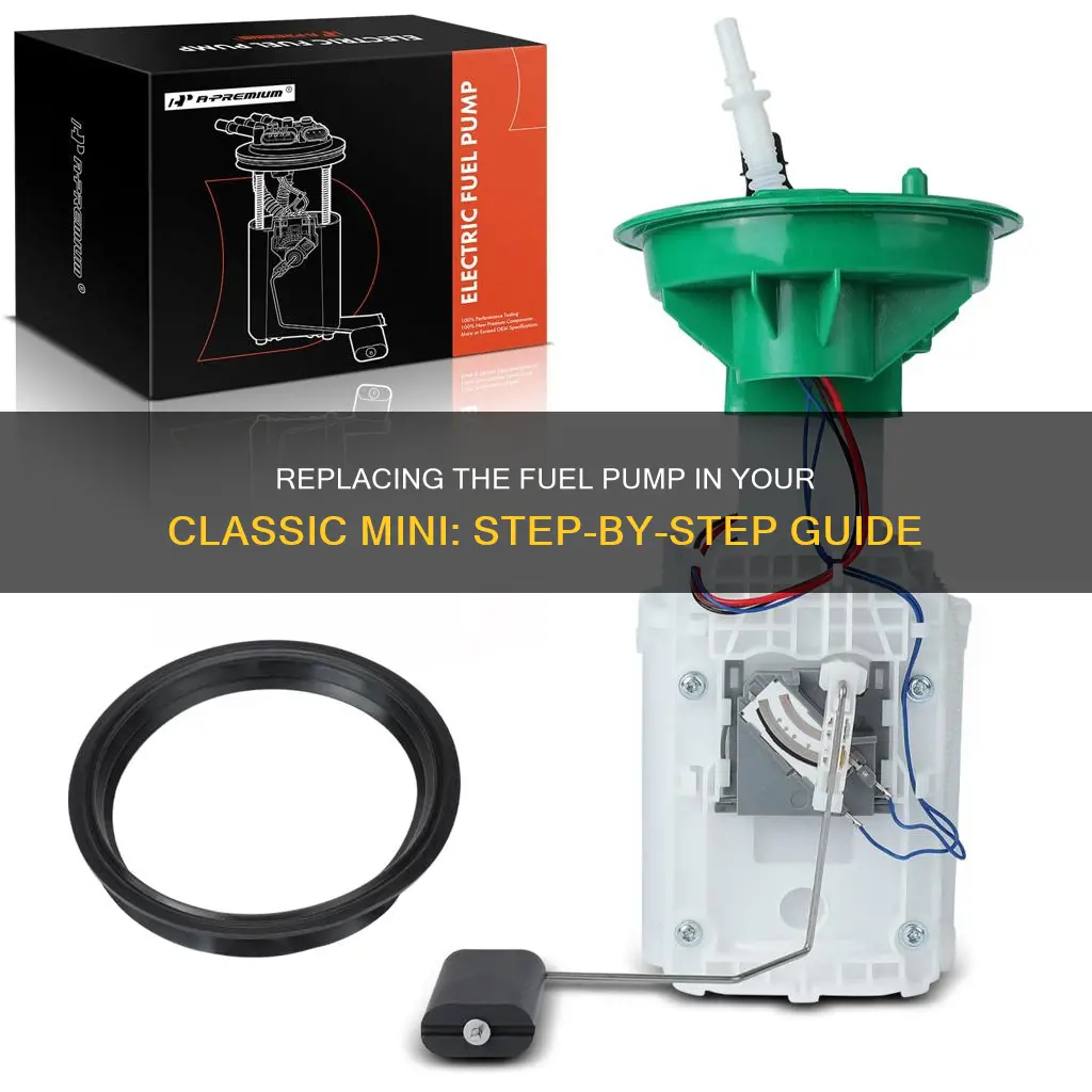 how to replace classic mini fuel pump