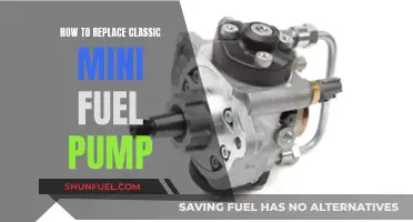 Replacing the Fuel Pump in Your Classic Mini: Step-by-Step Guide