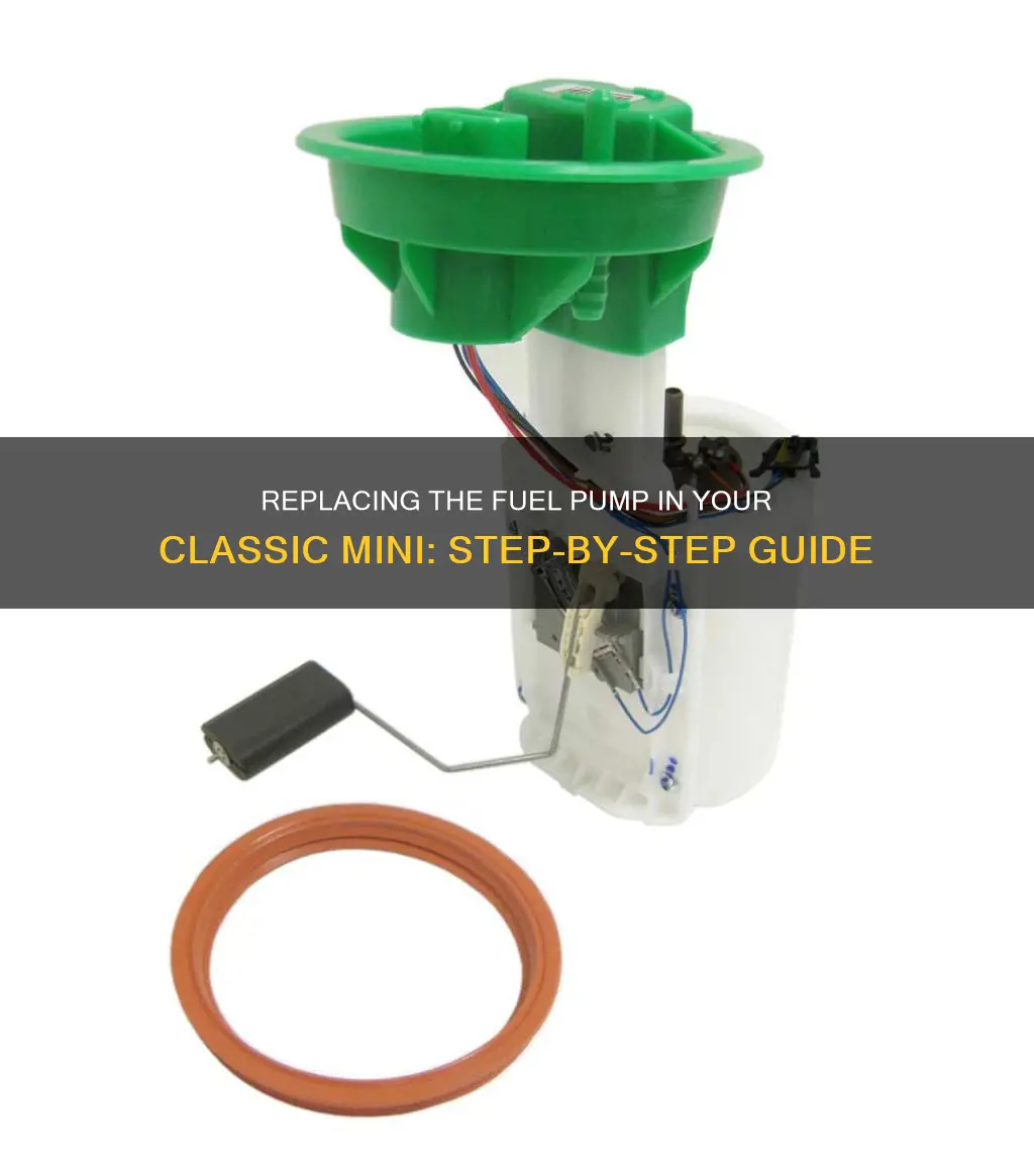 how to replace classic mini fuel pump