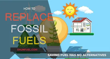 Transitioning Beyond Fossil Fuels: Exploring Sustainable Alternatives