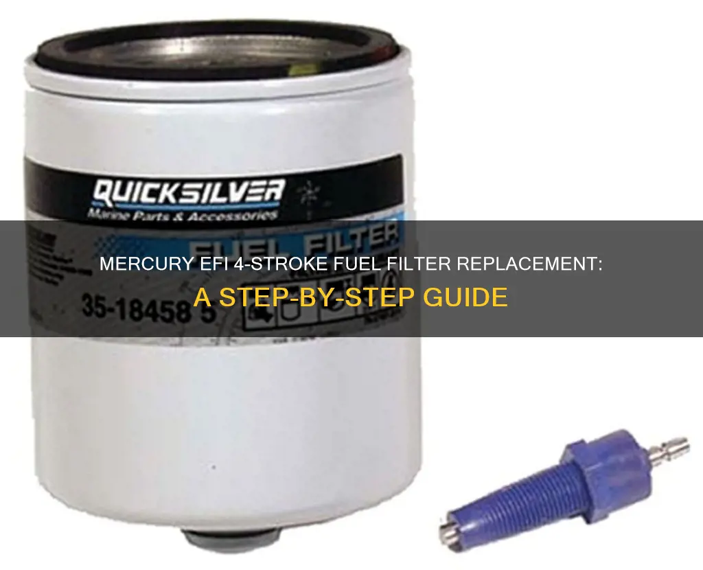 how to replace fuel filter 115 mercury efi 4 stroke