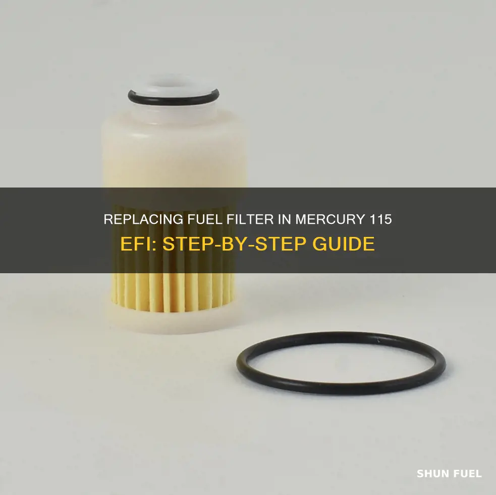 how to replace fuel filter 115 mercury efi 4 stroke