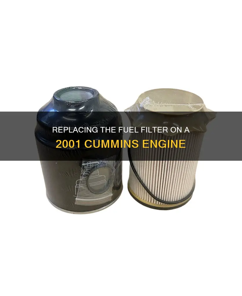 how to replace fuel filter 2001 cummins