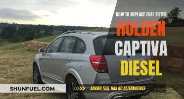 Captiva Diesel Fuel Filter: DIY Replacement Guide