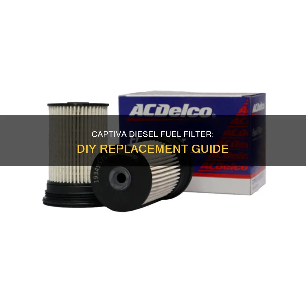 how to replace fuel filter holden captiva diesel