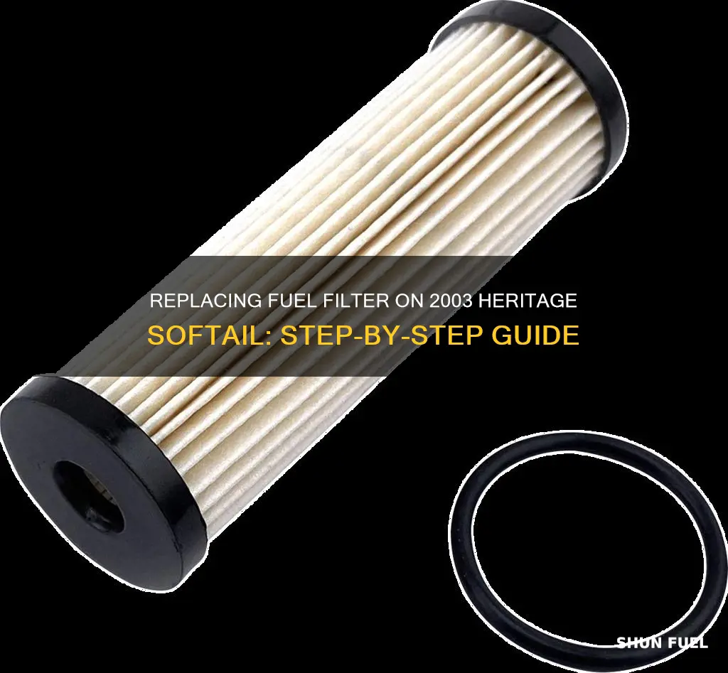 how to replace fuel filter on 2003 heritage softail