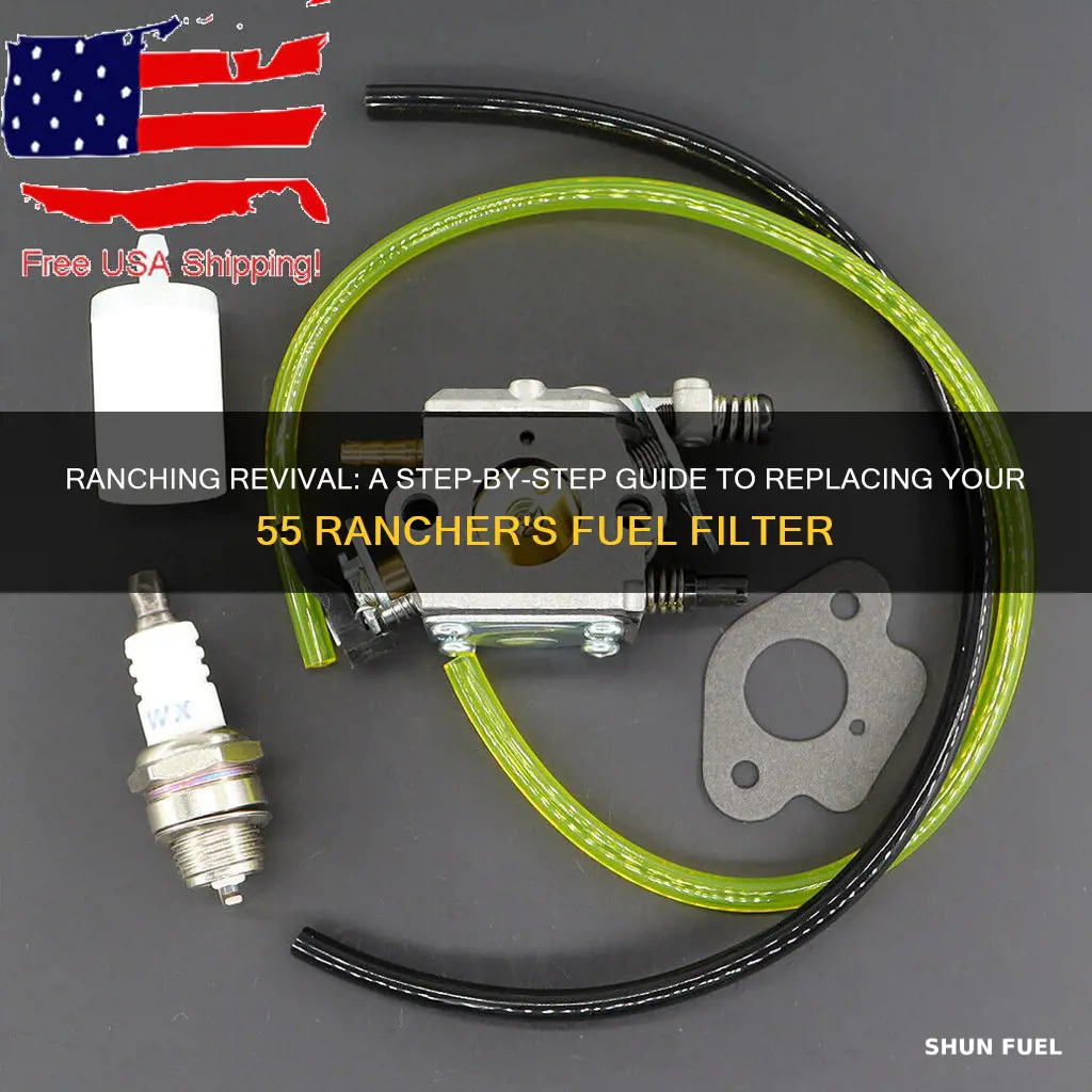 how to replace fuel filter on a 55 rancher