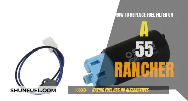 Replacing Fuel Filter on 55 Rancher: Step-by-Step Guide