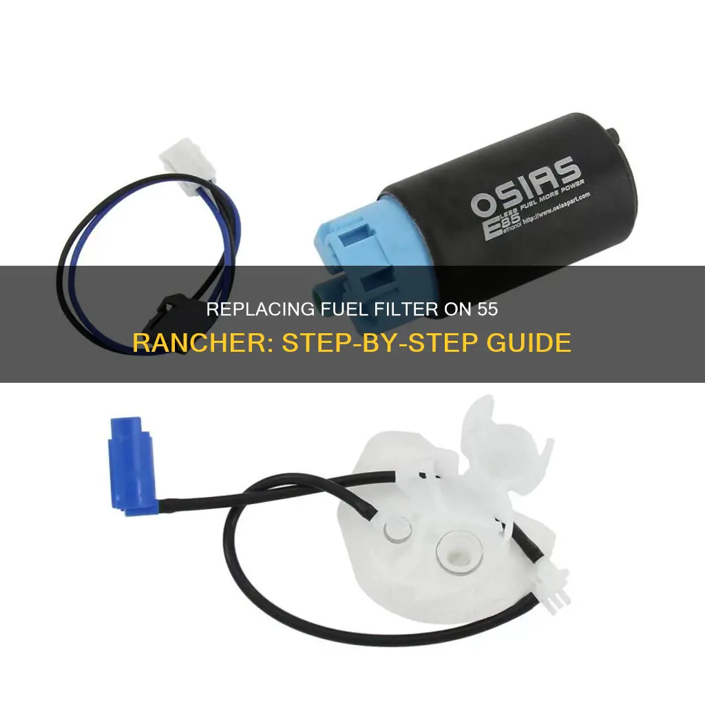 how to replace fuel filter on a 55 rancher