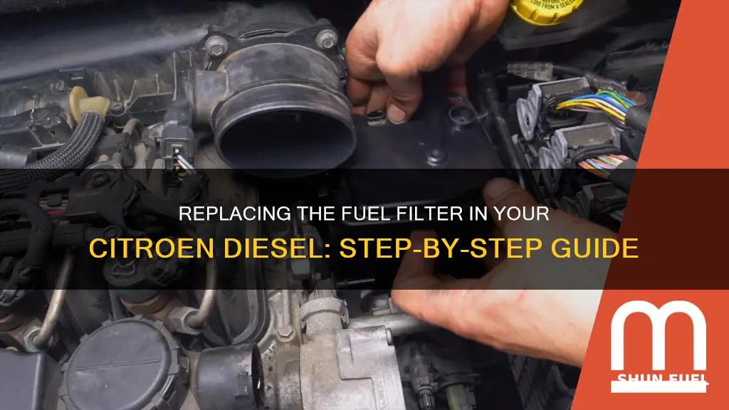 how to replace fuel filter on citroen diesel