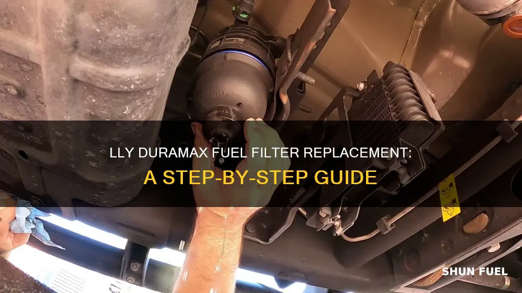 how to replace fuel filter on lly duramax