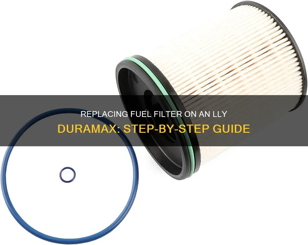 how to replace fuel filter on lly duramax