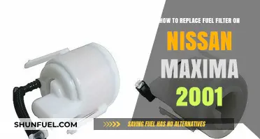 Nissan Maxima 2001 Fuel Filter Replacement: A Step-by-Step Guide