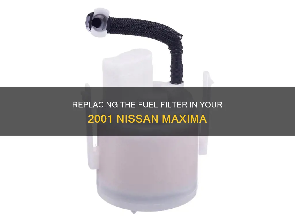 how to replace fuel filter on nissan maxima 2001