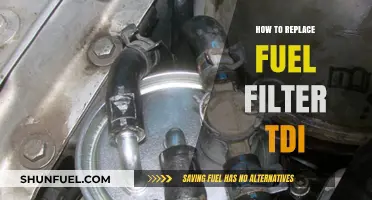 TDI Fuel Filter Replacement: A Step-by-Step Guide for DIY Mechanics