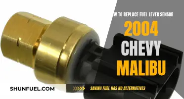 Replacing the Fuel Lever Sensor in Your 2004 Chevy Malibu