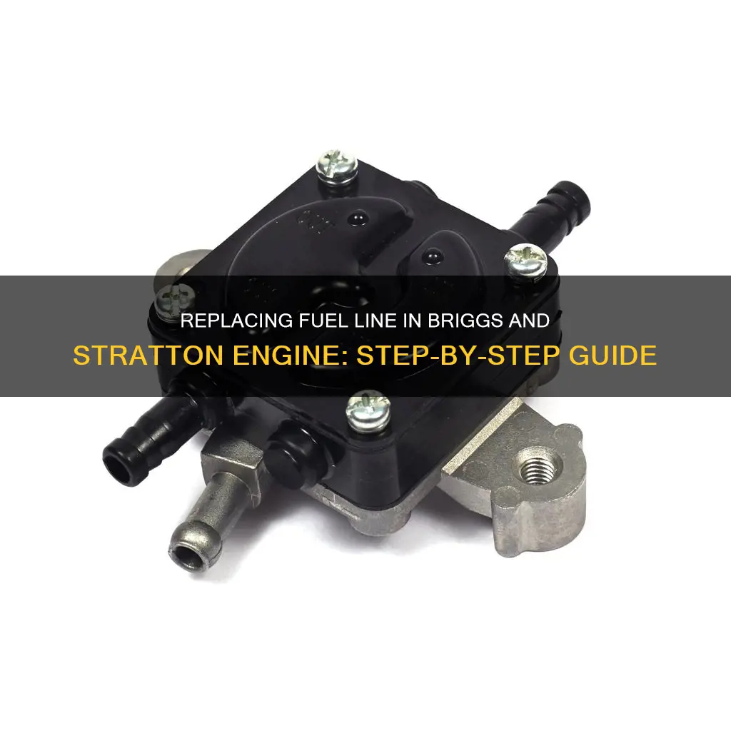 how to replace fuel line in a briggs and stratton