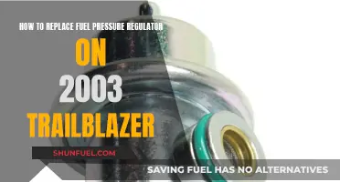 Replacing Fuel Pressure Regulator in a 2003 Trailblazer