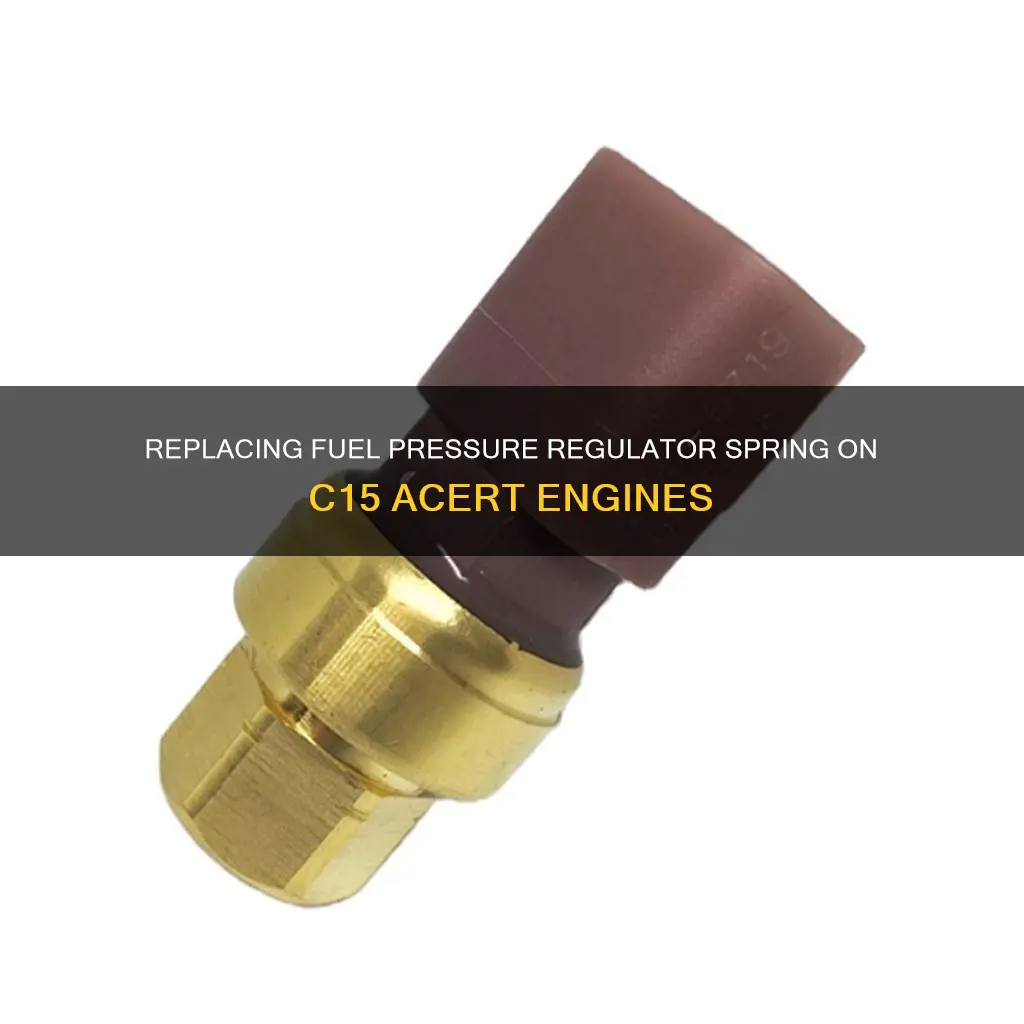 how to replace fuel pressure regulator spring on c15 acert