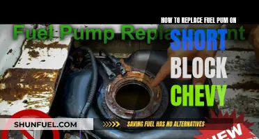 Replacing Fuel Pump on Short Block Chevy: Step-by-Step Guide