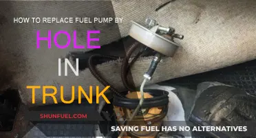 Replacing Fuel Pumps: Accessing Through the Trunk Hole