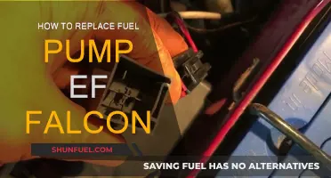 Replacing the Fuel Pump in Your EF Falcon: Step-by-Step Guide