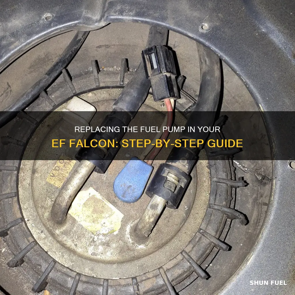 how to replace fuel pump ef falcon