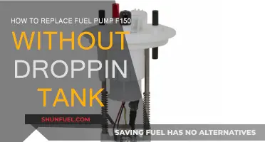 Replacing F150 Fuel Pumps: Quicker Tank-Intact Method Explained