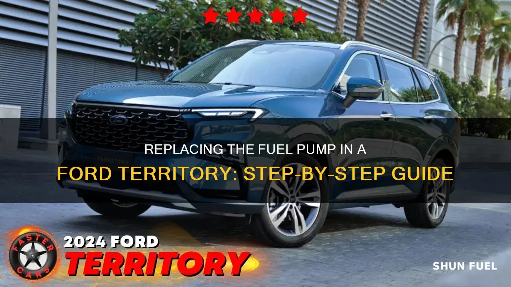 how to replace fuel pump ford territory