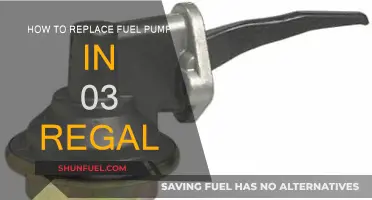 Replacing the Fuel Pump in Your 03 Regal