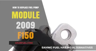DIY Guide: Replacing Fuel Pump Module in a 2009 Ford F150