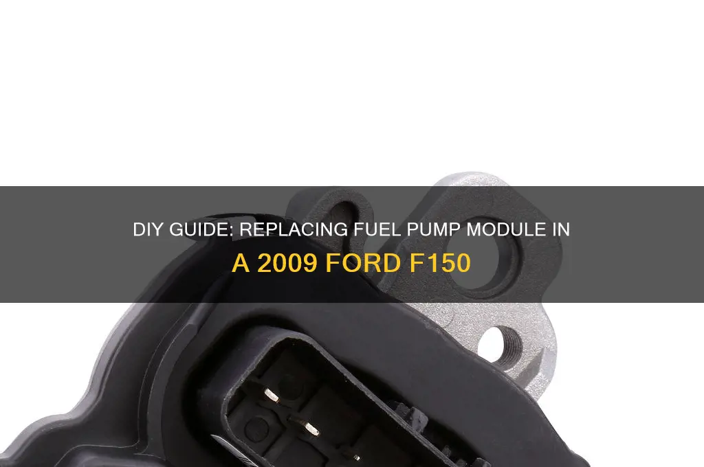 how to replace fuel pump module 2009 f150