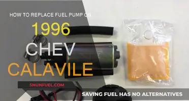 Replacing the Fuel Pump in a '96 Chev Calaviler