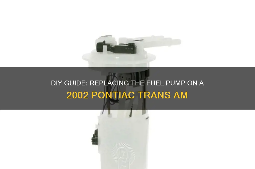 how to replace fuel pump on 2002 pontiac trans am